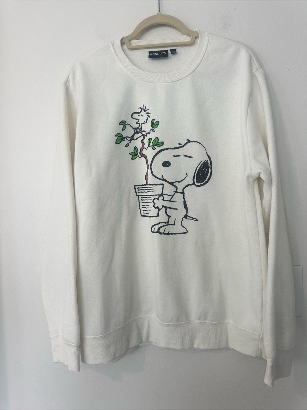 Peanuts Snoopy Graphic Men’s Sweatshirt L